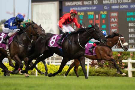 Return to the top in QEII Cup 