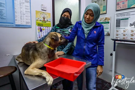 Muslim vet hopes to foster better appreciation of dogs