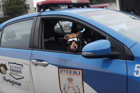 Brazil's furriest police corporal becomes Internet sensation 