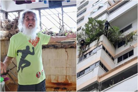 They will grow back again: Jurong resident who had plants cut down by town council