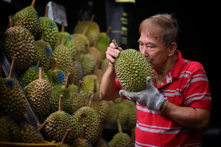 Durian supply glut leads to record low prices that could last for weeks, say sellers