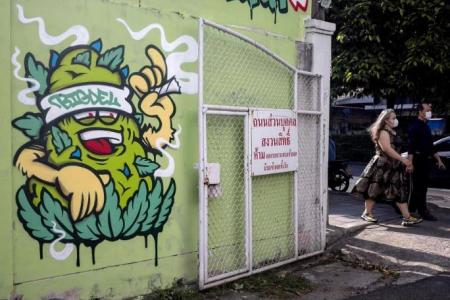 Bangkok becomes South-east Asia’s weed Wild West