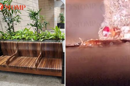 Kids get bitten by bedbugs on bench at Outram Community Hospital, SingHealth apologises