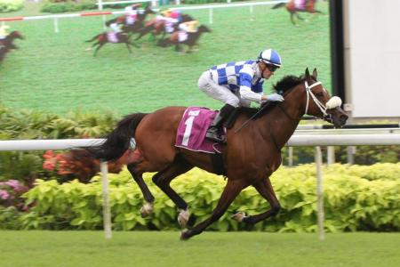 Hongkong Great in fine form in gallop