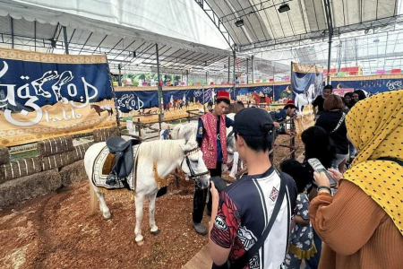 Complaints made against operator of pony rides at Geylang Serai Ramadan bazaar