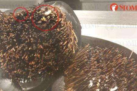 Woman shocked to find dirty brushes with insects at Wok Hey, SFA investigating