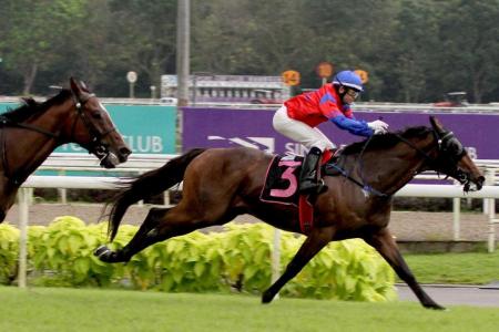 Thunder Star in superb form, ready to rumble