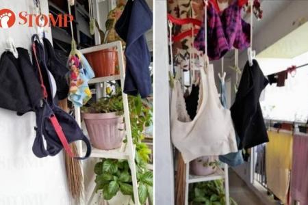 Woman hangs underwear along corridor: 'Every morning, neighbours have to see her lingerie'