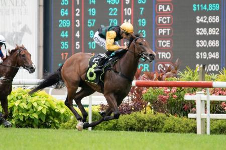 Silo wins first 2YO trial to G3 event