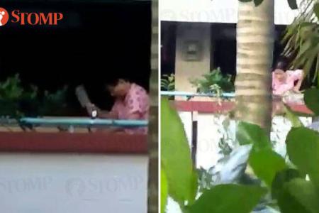Woman hacks at plants with chopper, throws them down Bukit Panjang block