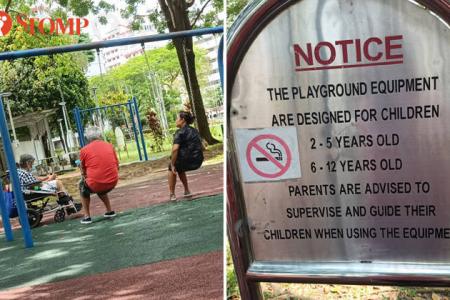 Adults hog swings at Taman Jurong Park while toddler waits