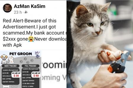 Man scammed out of $2,600 after downloading app for pet grooming service