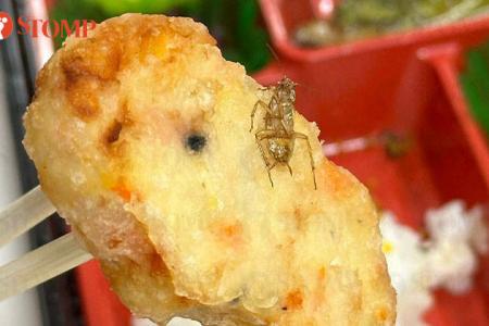 Woman finds cockroach after almost finishing her bento box meal, SFA looking into matter