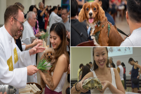 'Bless this pooch': Kovan church's animal blessing event sees some 205 pets in attendance