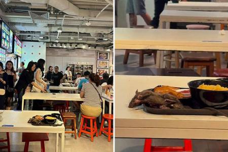 Diners scream after rat falls onto food at Tangs Market in Orchard Road, SFA investigating