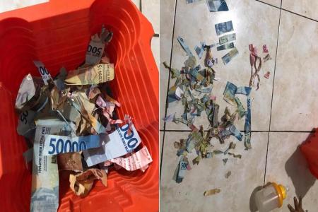 Indonesian mum frets after toddler shreds money meant for monthly groceries