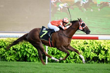 Treble-seeking Wins One leads Ong's team of 20 