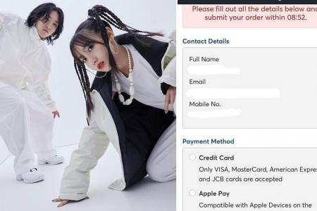 J-pop duo Yoasobi fans’ phone numbers, e-mail addresses leaked online during Ticketmaster sale