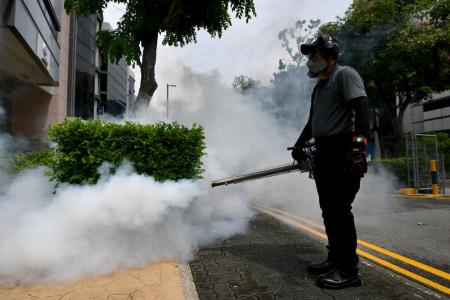 Dengue cases last week almost double from a year ago