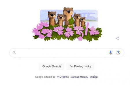 ‘A symbol of Singapore’: Bishan otters make an appearance on Google Doodle