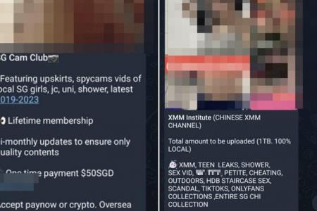 Telegram channels offer explicit sex videos, photos for a fee in similar vein to SG Nasi Lemak