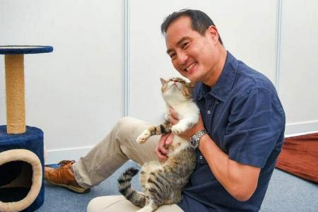 Cats may be allowed in HDB flats: Tan Kiat How