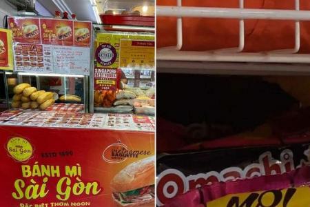 Rodent spotted on shelf at Ang Mo Kio Vietnamese stall is ‘size of water bottle’  