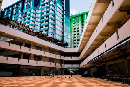 A coffee shop assistant chasing a flock of pigeons at the central concourse in Rochor Centre