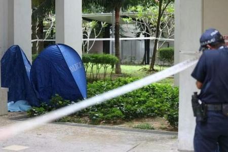 Woman and baby found dead at foot of Ghim Moh HDB block; second such case in a month