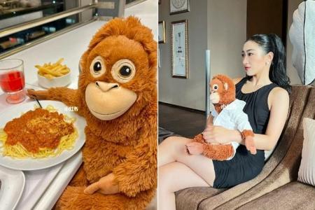 ‘Parenting’ stuffed orang utan from Ikea trending among millennials and Gen Zs in China