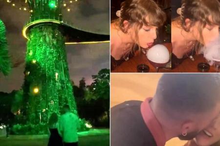 Taylor Swift shares glimpse of date night at Gardens by the Bay, breaks multiple records