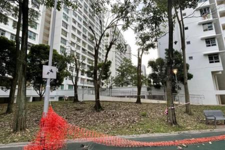 Trees in Punggol estate being checked after a number are damaged following Sunday's storm