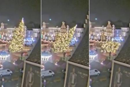 Woman killed by falling Christmas tree at Belgian market square