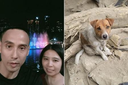 Taiwan quake: Rescue dogs given missing Singapore couple’s clothes to pick up their scent