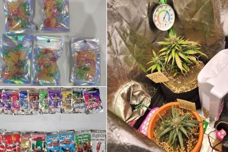 117 suspected drug offenders arrested, candy containing cannabis seized