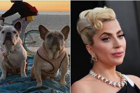 Lady Gaga dog robber sentenced to four years in US jail