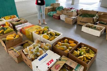 Food donations help those struggling with food insecurity, financial woes