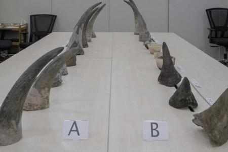 Jail for man caught with rhino horns worth over $1.2m
