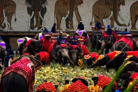 Thailand lays out buffet for elephants in national celebration