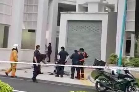 Police and SCDF say officers responded correctly in incident of woman jumping from Eunos flat