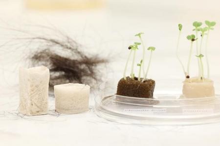 Hair used to make new material that helps grow vegetables through hydroponics