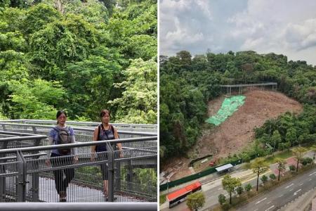 Parts of trails at Telok Blangah Hill Park closed for repair