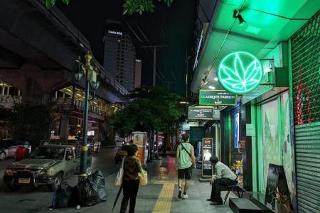 Thai gov will ban recreational cannabis use