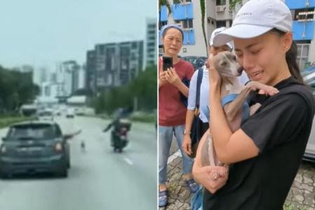 Tears as owner and dog reunite after dramatic rescue on busy expressway