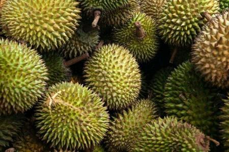 The king of fruits will be better and cheaper in 2023, Malaysian durian seller says