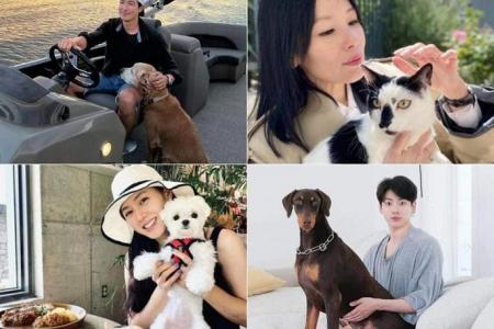 Celebs and their pampered pets