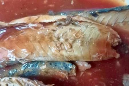 M'sia finds parasitic worms in China canned sardine  