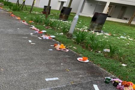 With return of Hungry Ghost Festival, Chinese groups to show the way on burning joss paper responsibly