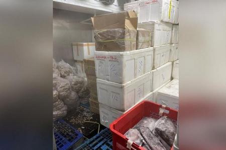 Seafood wholesaler fined $20,000 for illegally operating cold store