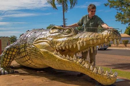 Australian croc expert pleads guilty to bestiality, dog torture, possessing child abuse material